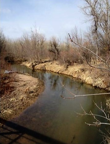 Plum Creek Streambank Erosion Upstream from Chatfield Reservoir