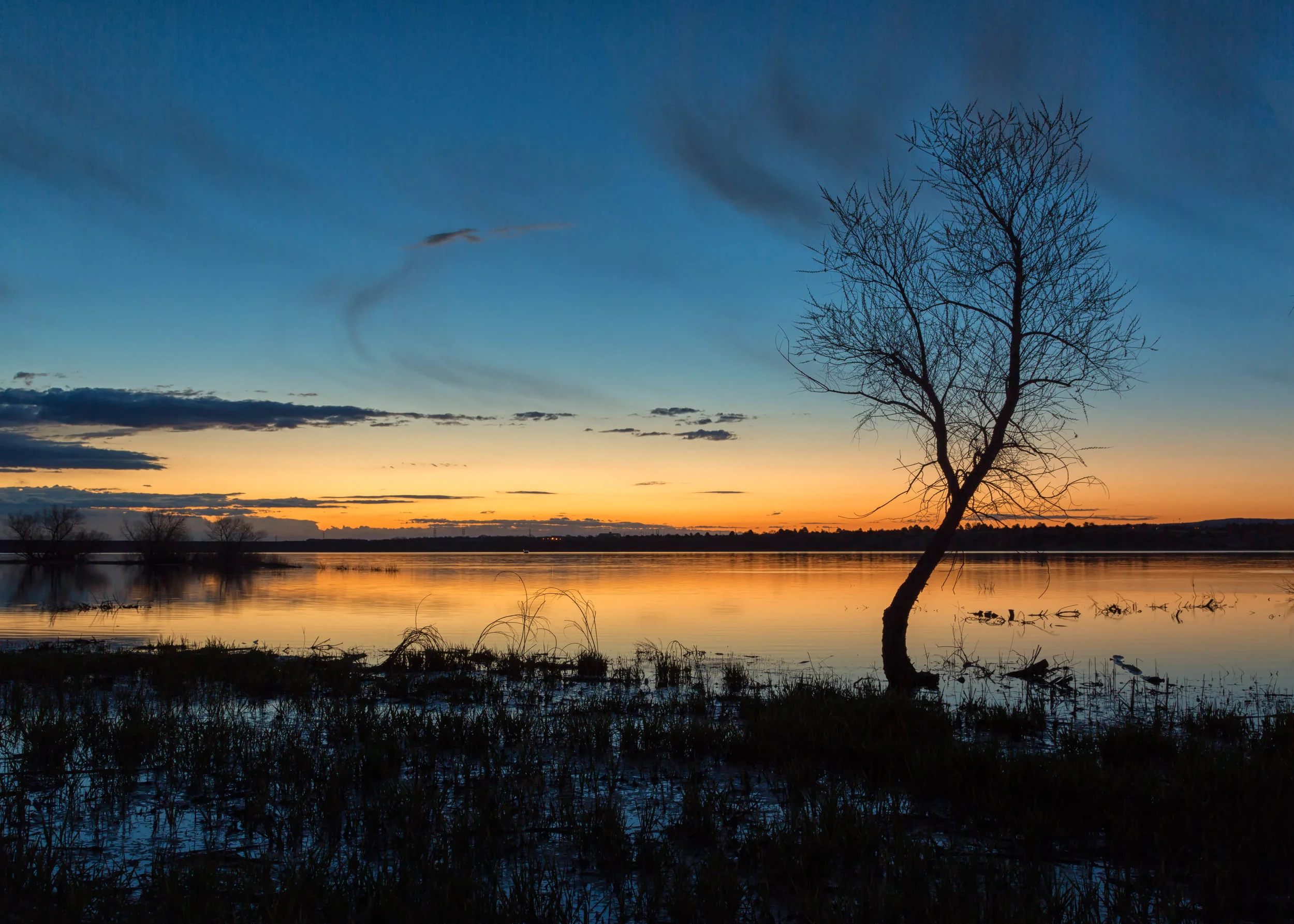 Trainings &amp; Workshops Early May