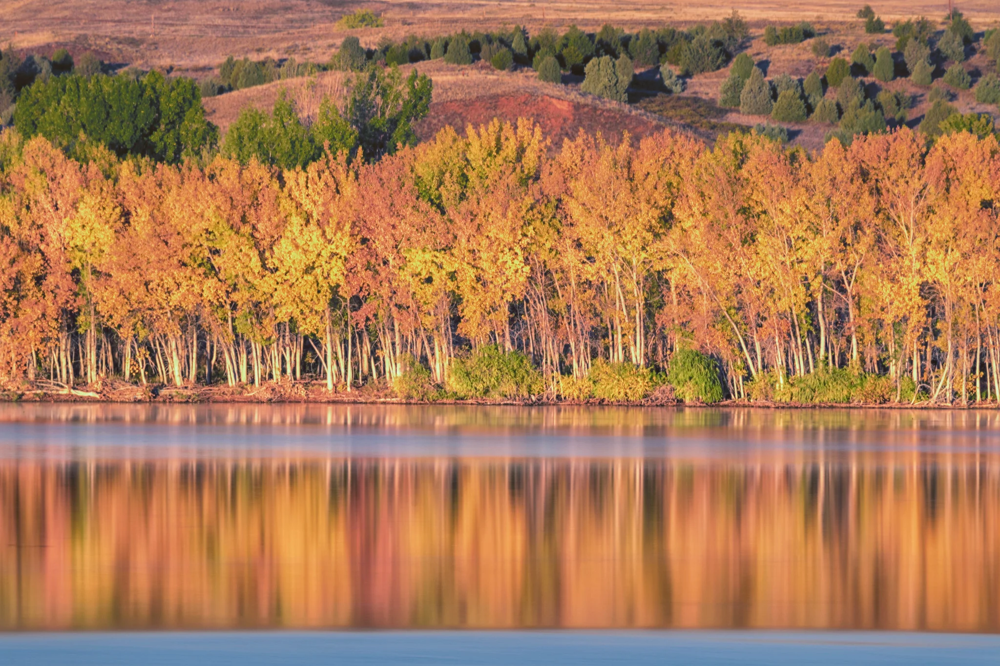 Funding Opportunities Early October