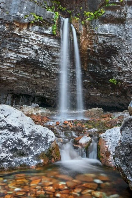 Announcements Late February