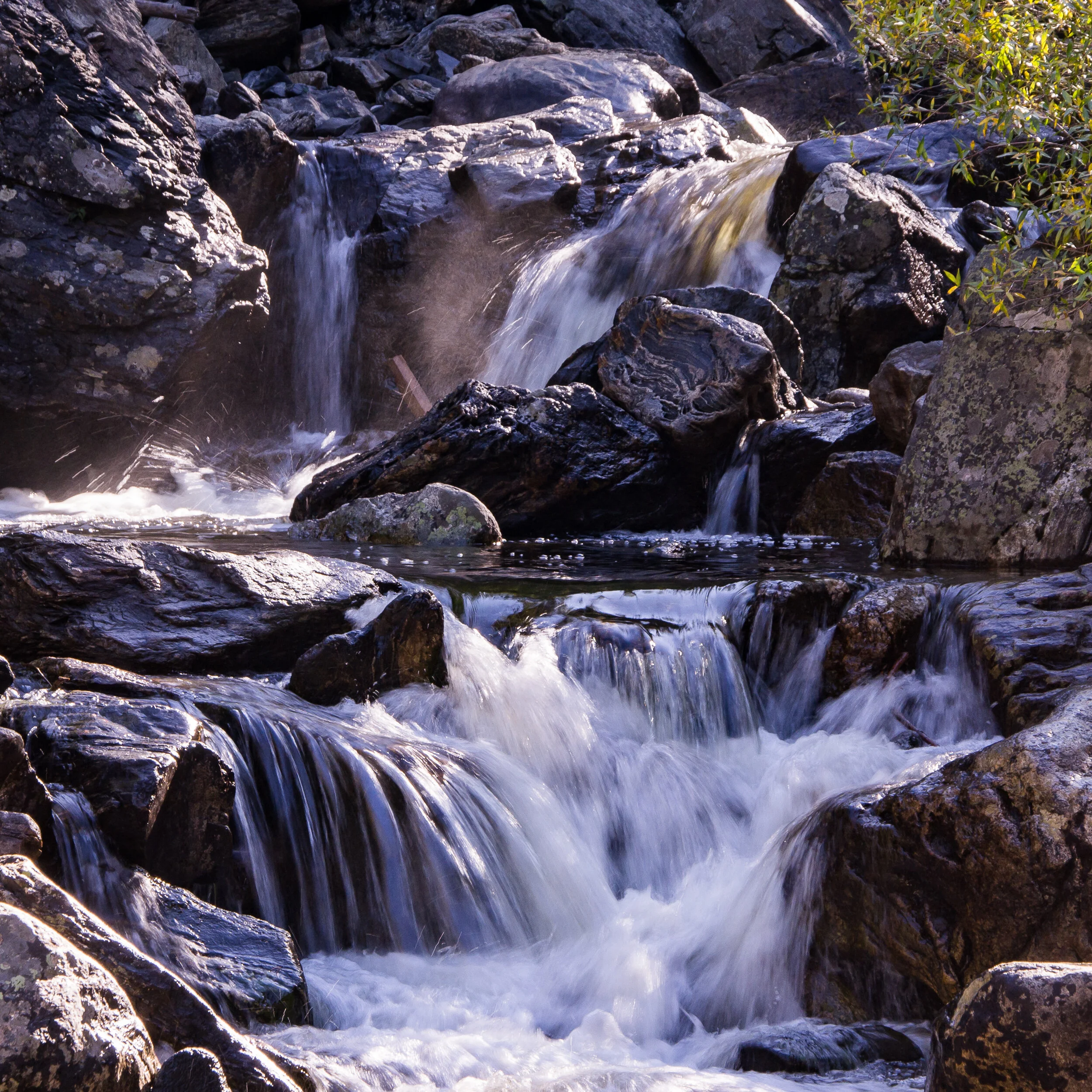 Trainings &amp; Workshops Late February