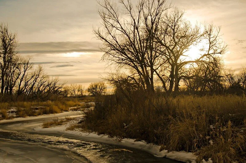 Trainings &amp; Workshops Late December