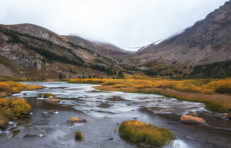 Job Announcements Late February