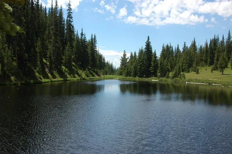 Announcements Late April