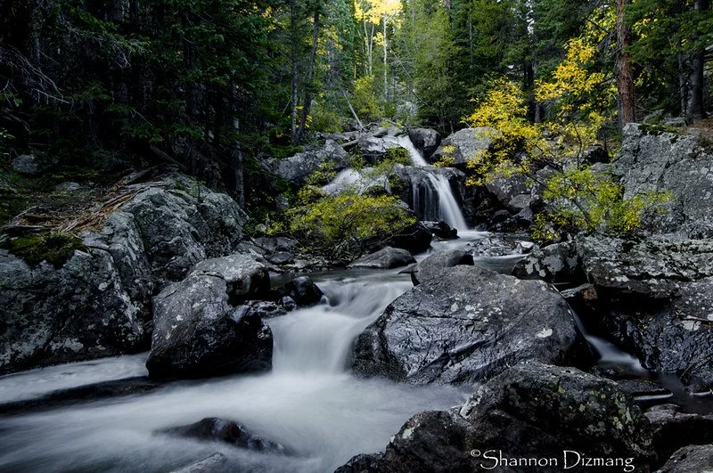 Conference &amp; Events Early August