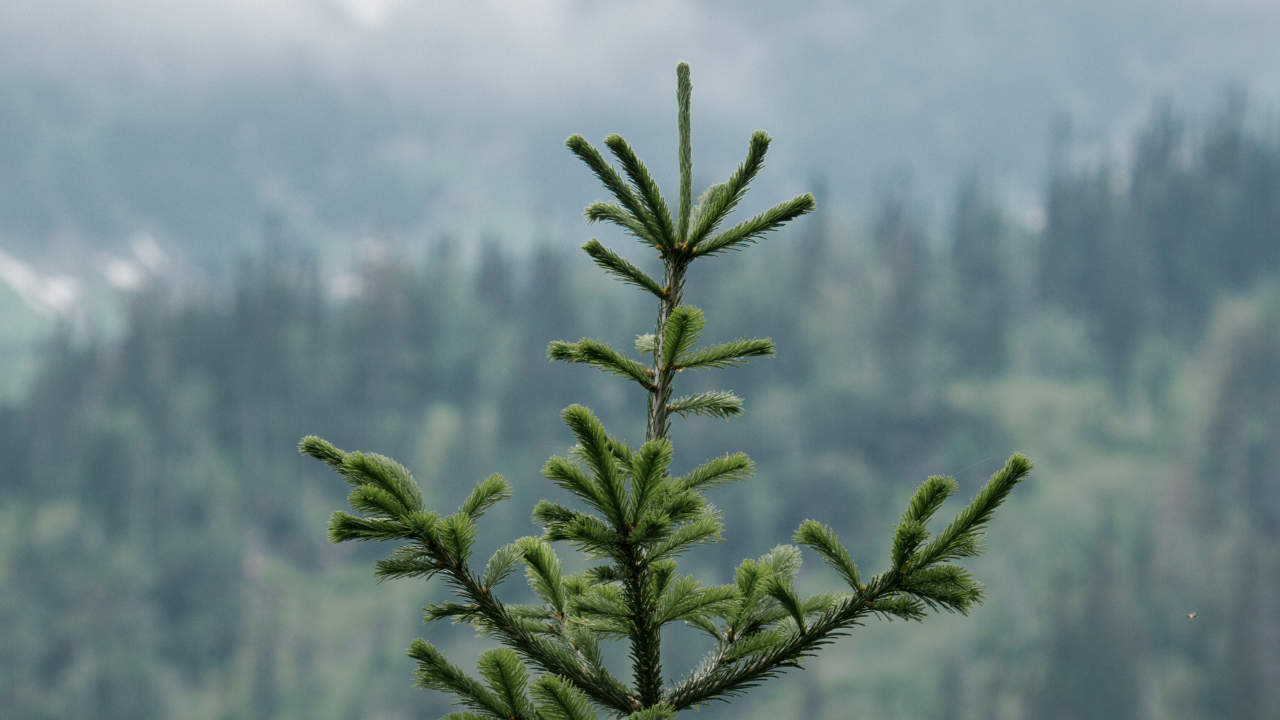 Trainings &amp; Workshops Early April