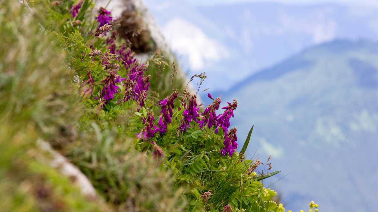 Conferences &amp; Events Early April