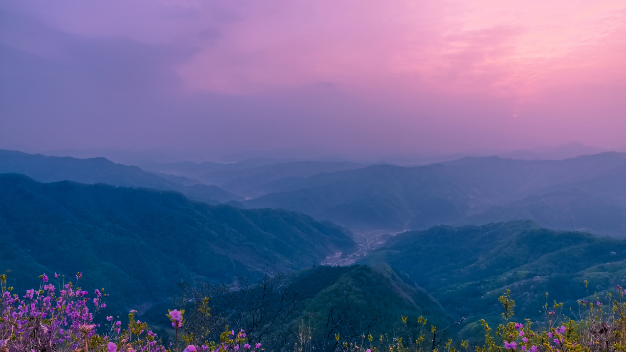 Job Announcements Early April