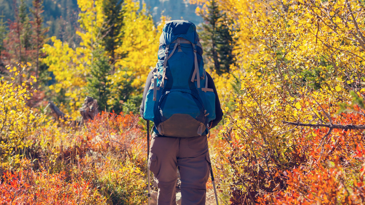 Trainings &amp; Workshops Late September