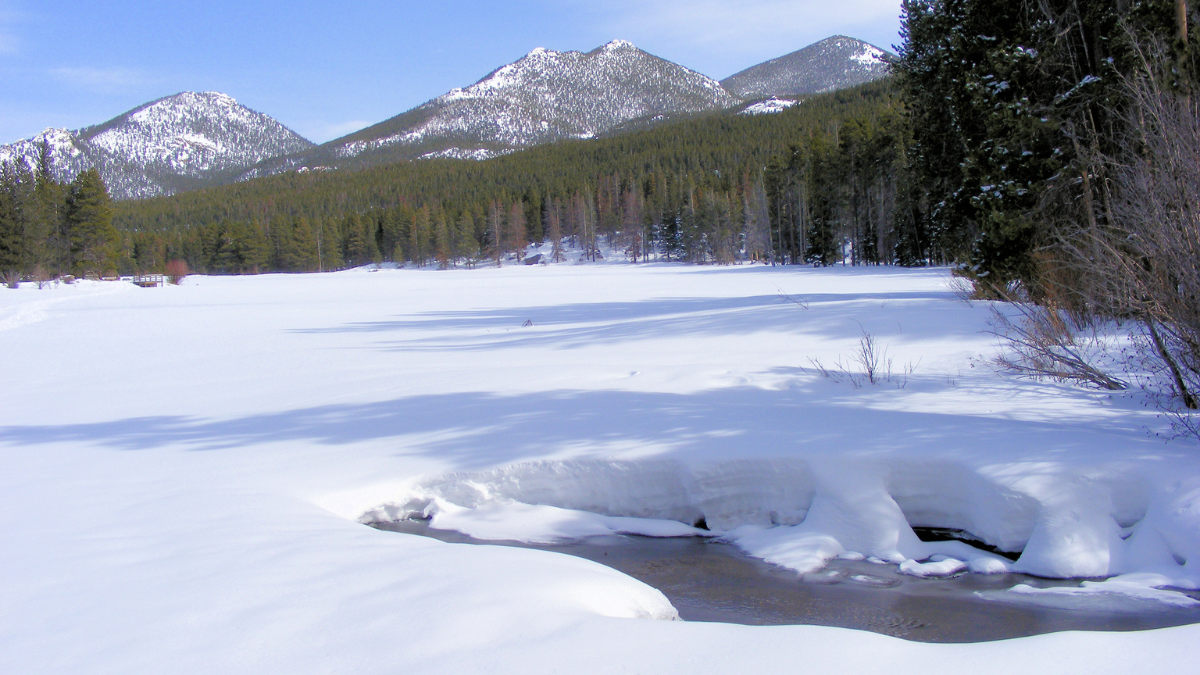 Funding Opportunities Early March