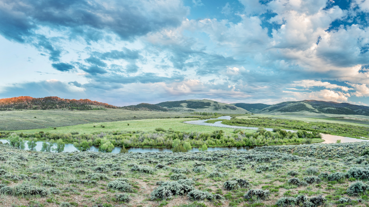 Conferences &amp; Events Late May 