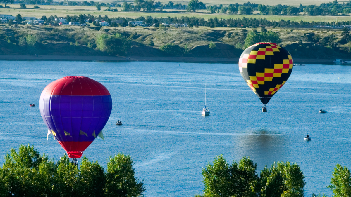 Trainings & Workshops Early August