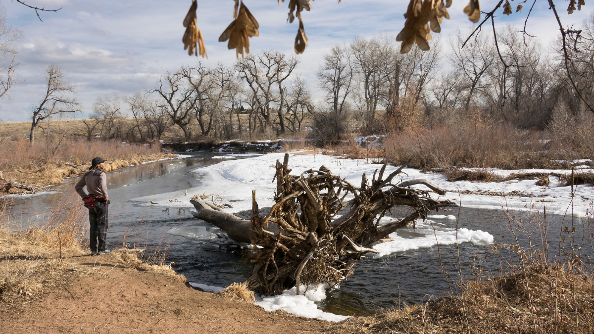 Job Announcements Early January