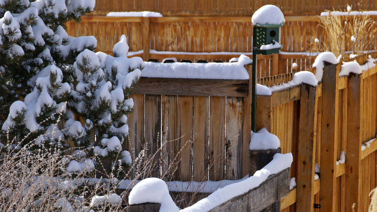 Conferences &amp; Events Early January