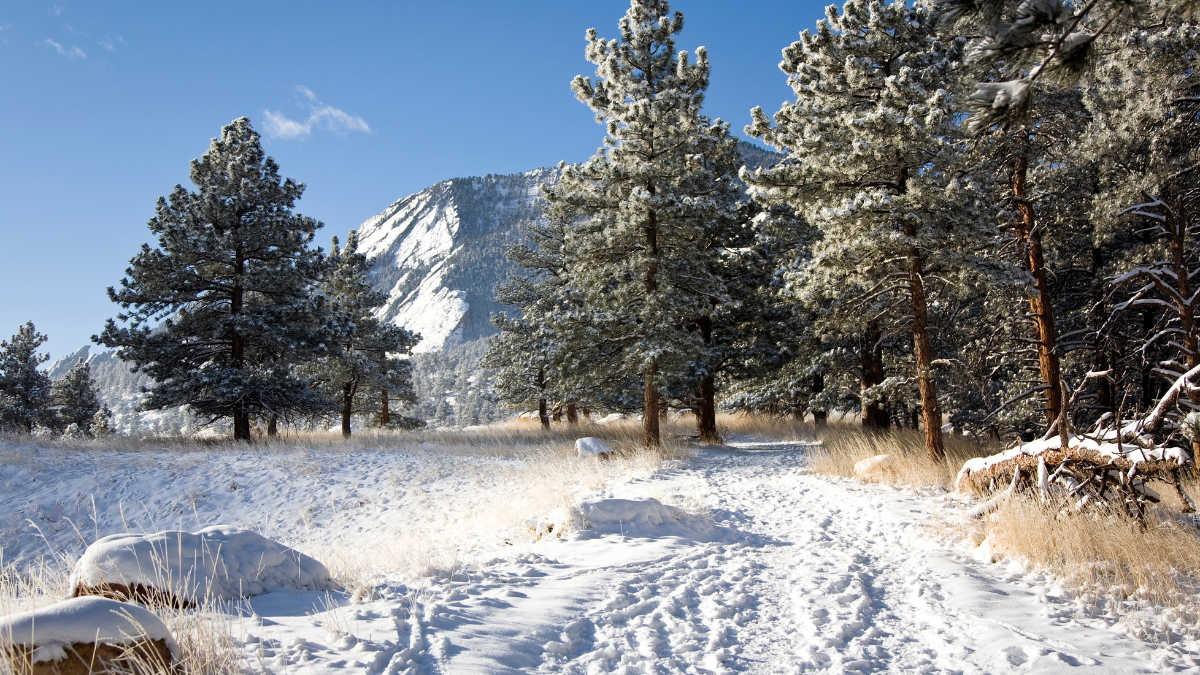 Announcements Early January