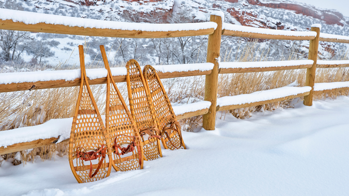 Funding Opportunities Late January