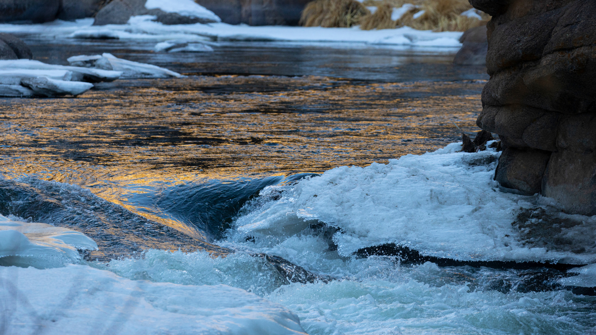 Job Announcements Late January 