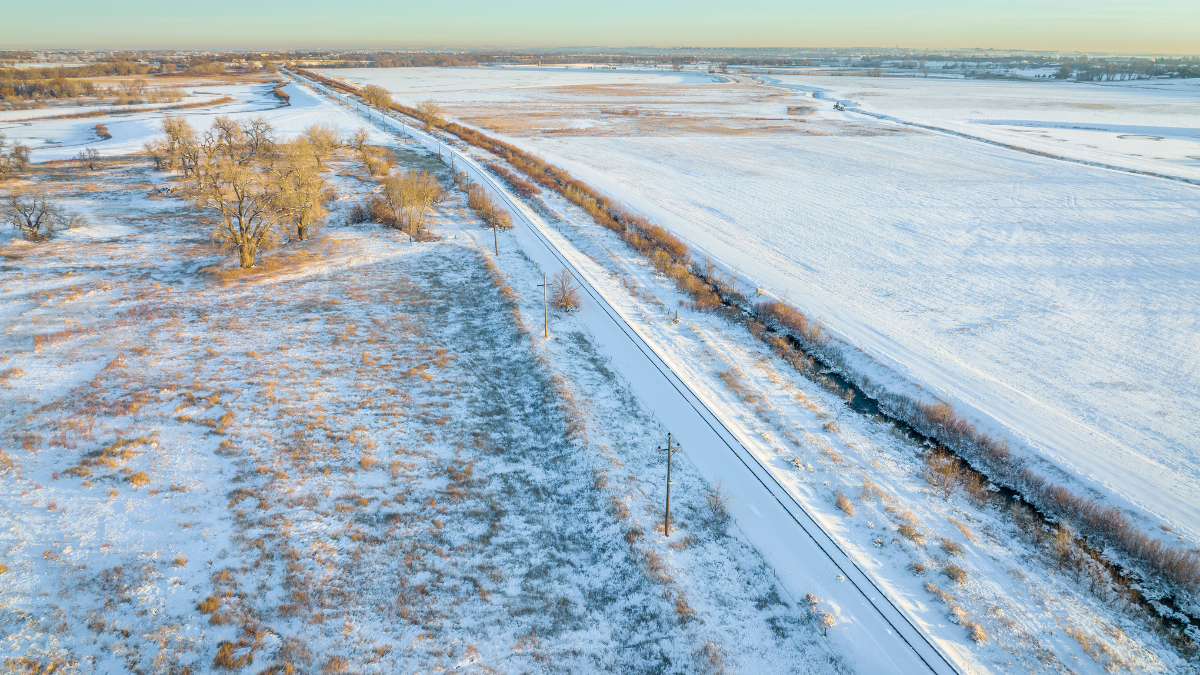 Trainings &amp; Workshops Early February