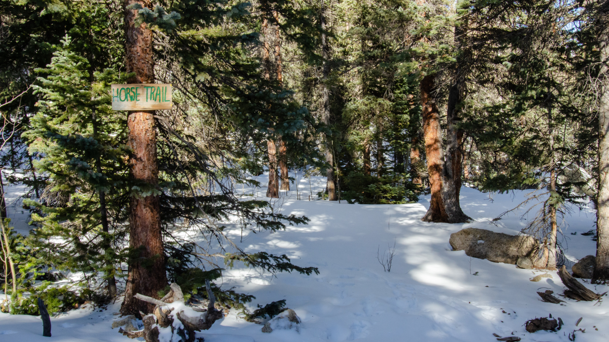 Conferences &amp; Events Early February