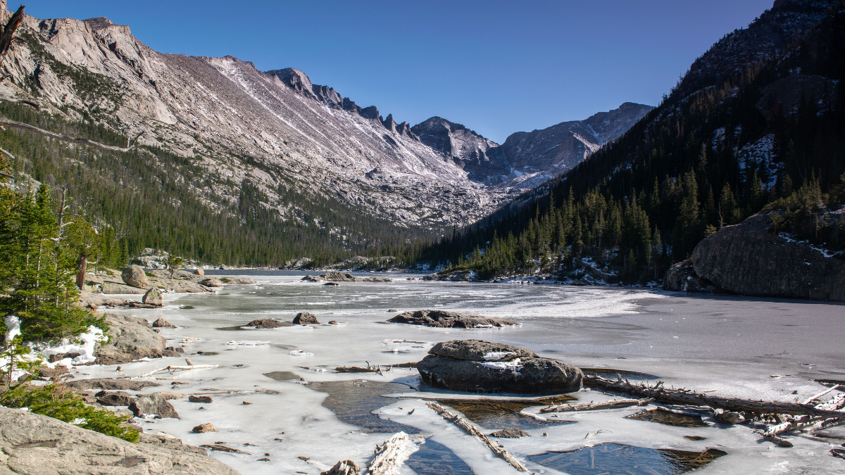 Trainings &amp; Workshops Late February