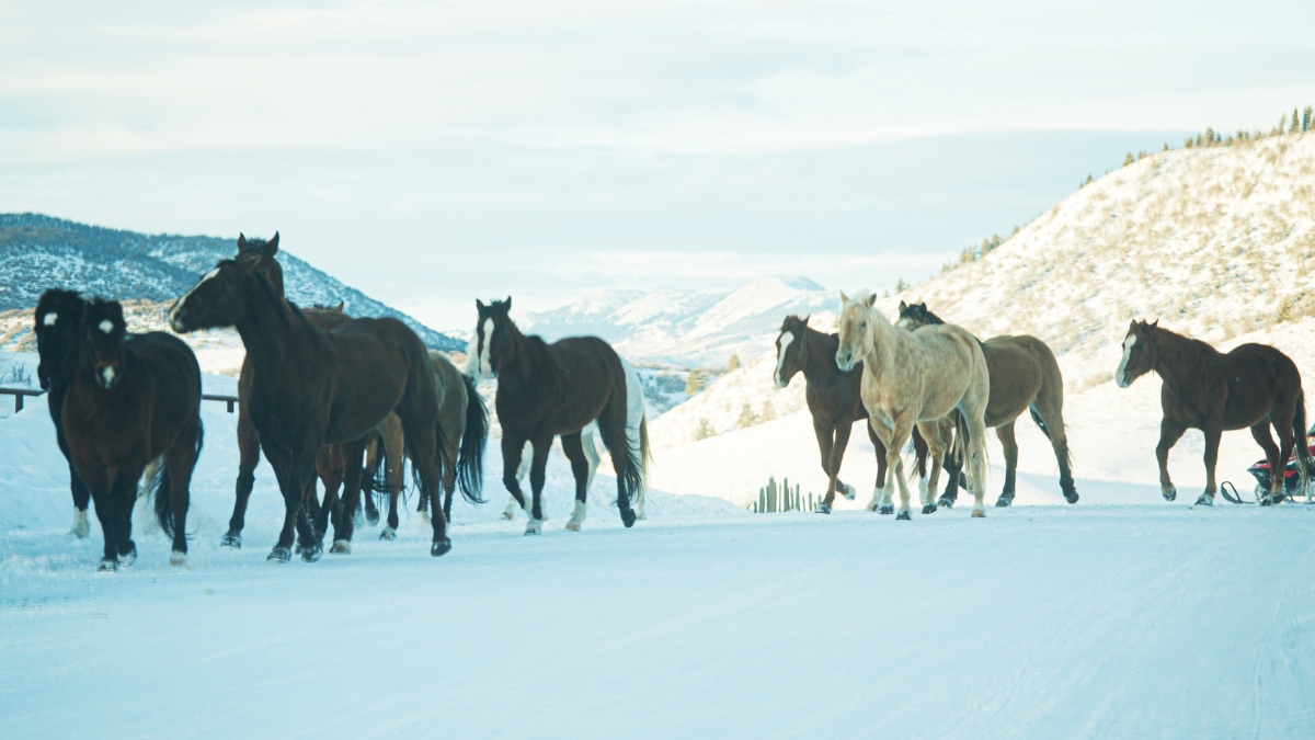 Conferences &amp; Events Late February 