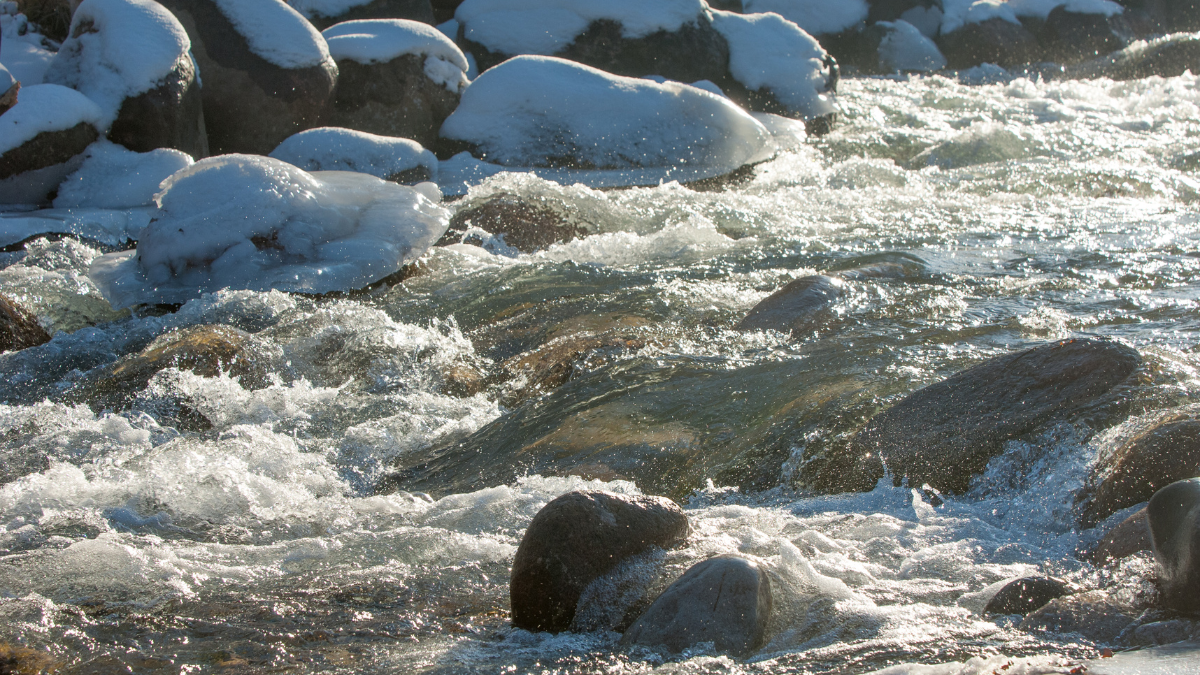 Announcements Early March