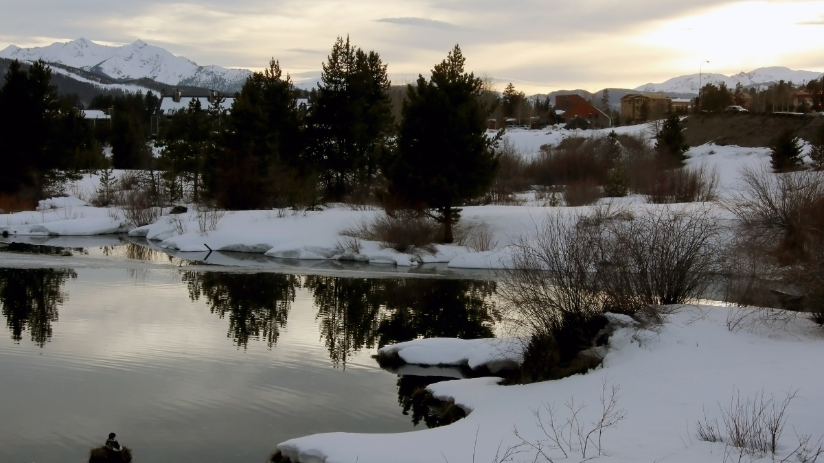 Trainings &amp; Workshops Early March