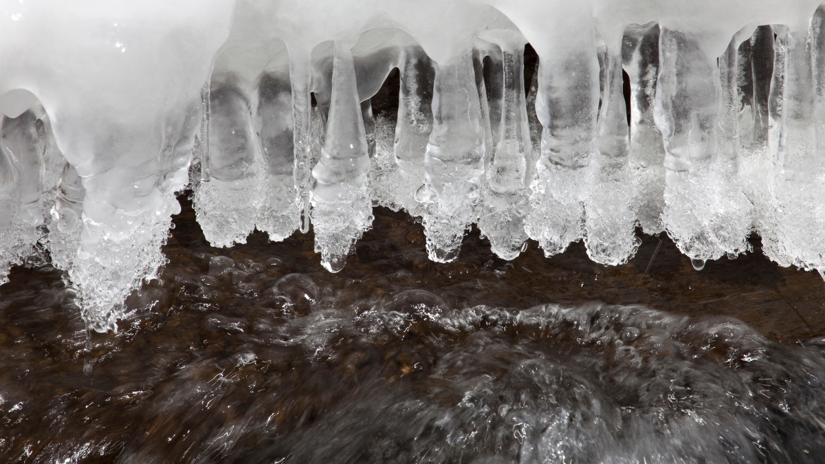 Conferences &amp; Events Early March