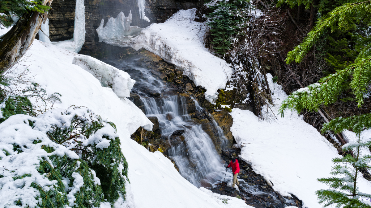 Job Announcements Early March