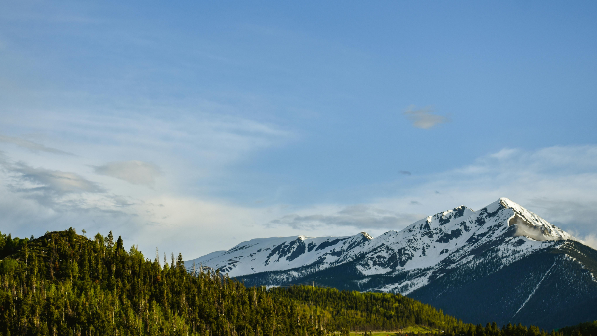 Funding Opportunities Early March