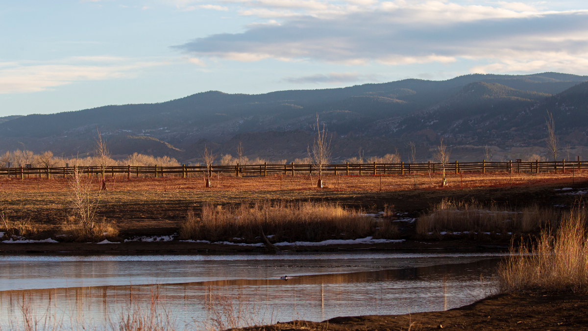 Conferences &amp; Events Late March