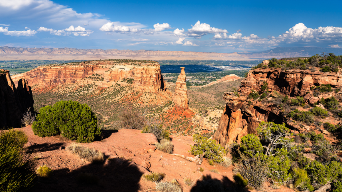 Job Announcements Late March