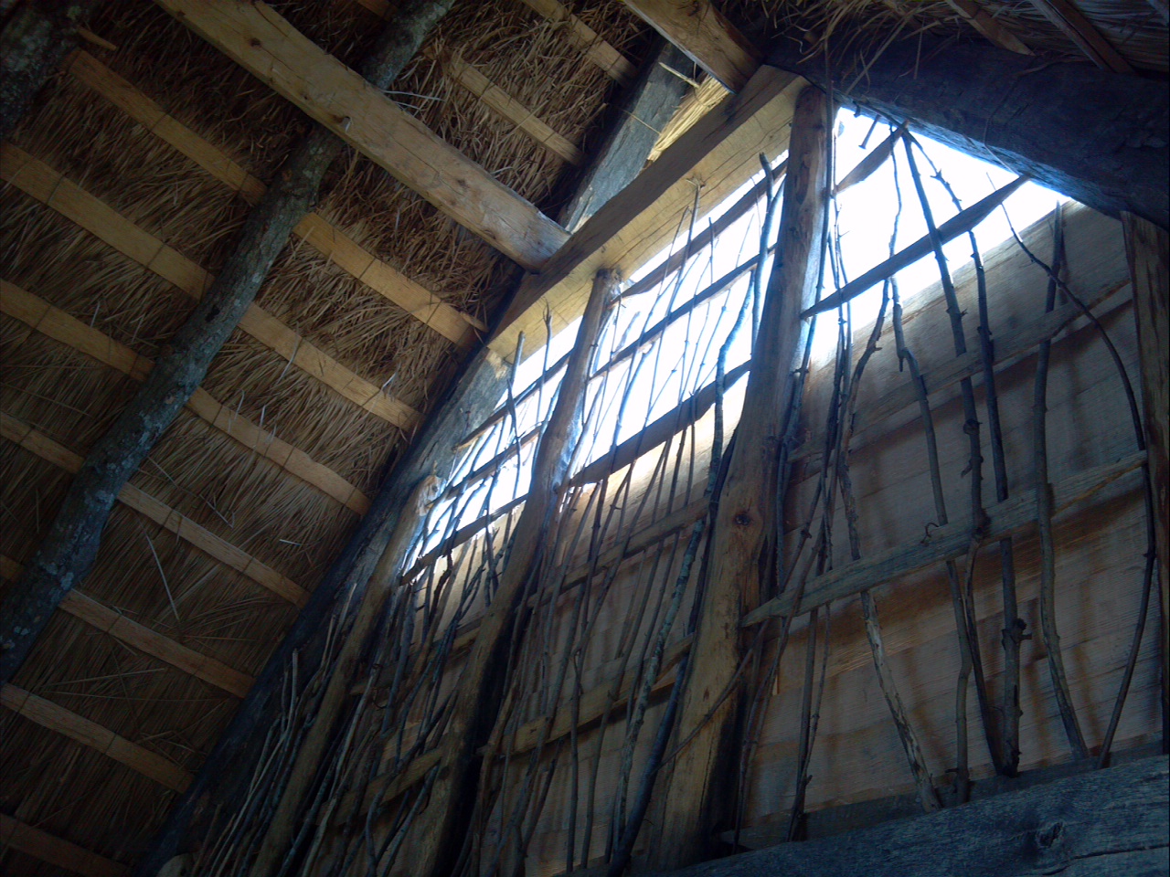 Inside wall, upper portion. The large opening will be closed up as more wooden clapboards (panels) are added to the outside. (Taken at Plimoth Plantation, August 2014.)