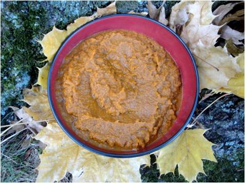 Stewed Pompion made in the Adventure Kitchen, November 2014.