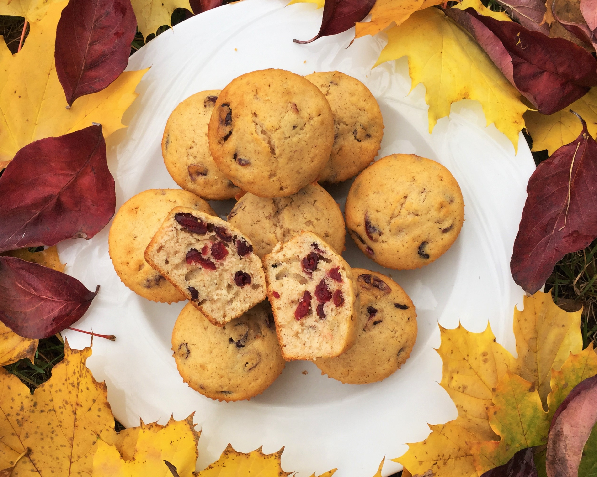 Cinnamon-Cranberry Muffins made in the Adventure Kitchen November 2015.