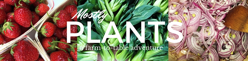 Mostly Plants Site Header with subtitle.jpg