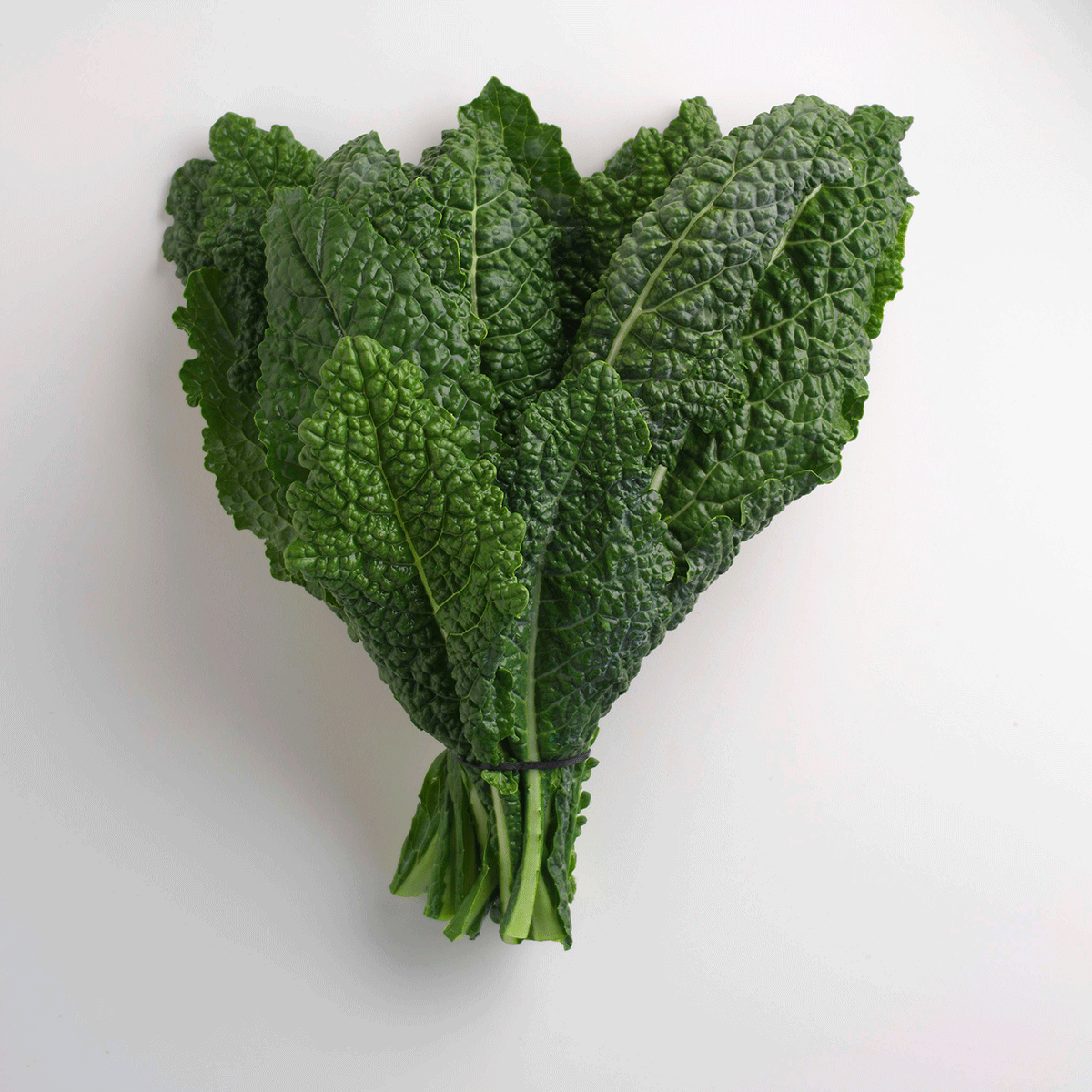 Lacinato Kale