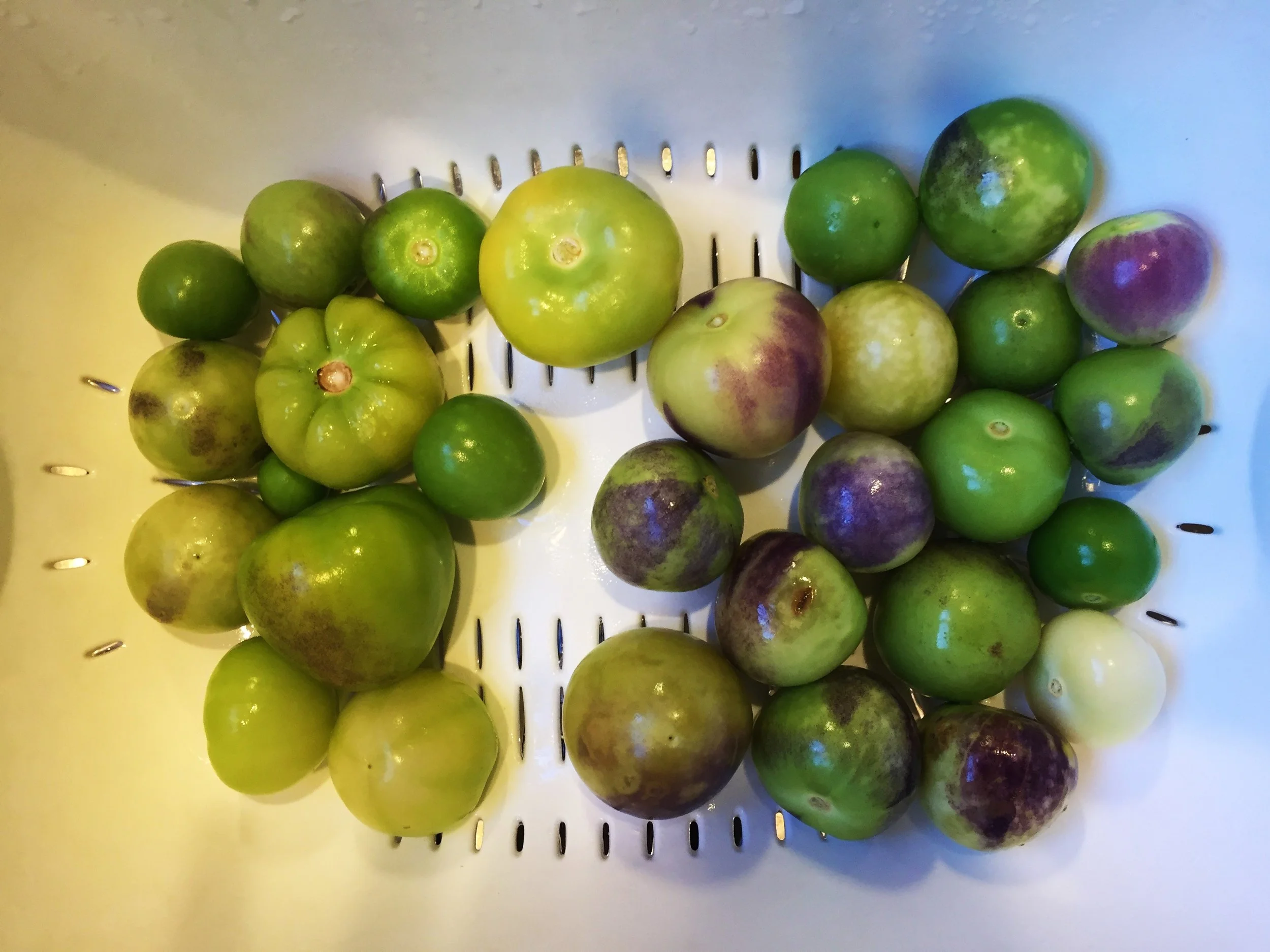Tomatillos husked, rinsed and ready for action in the Adventure Kitchen.