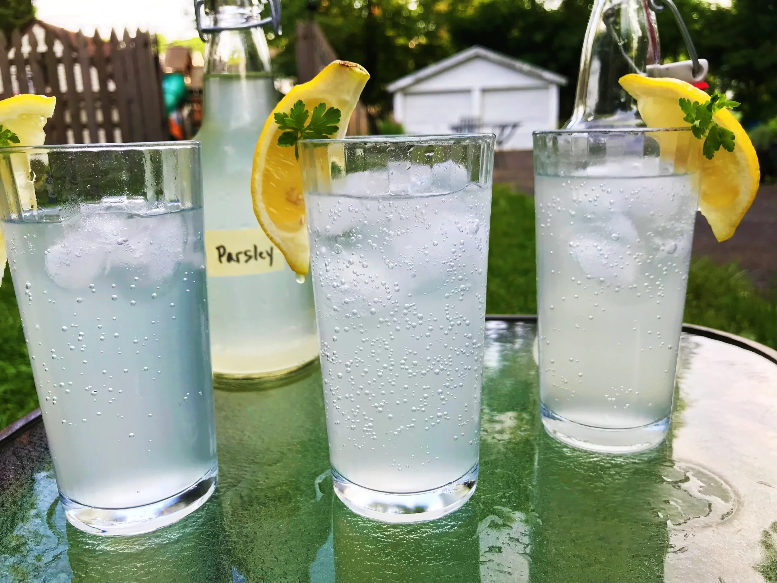 Naturally Carbonated Parsley Soda — Adventure Kitchen