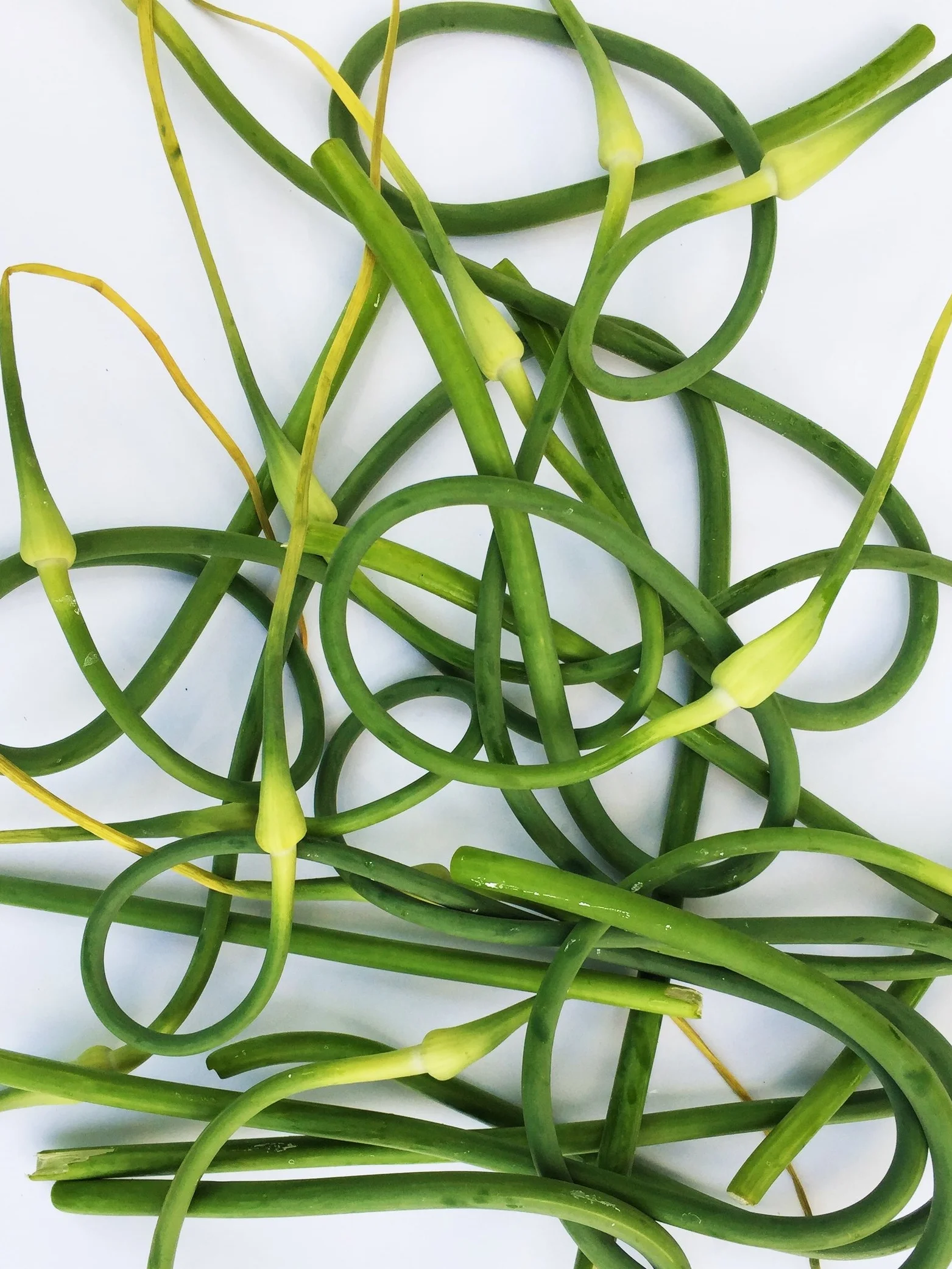 Garlic scapes from my CSA in late June.