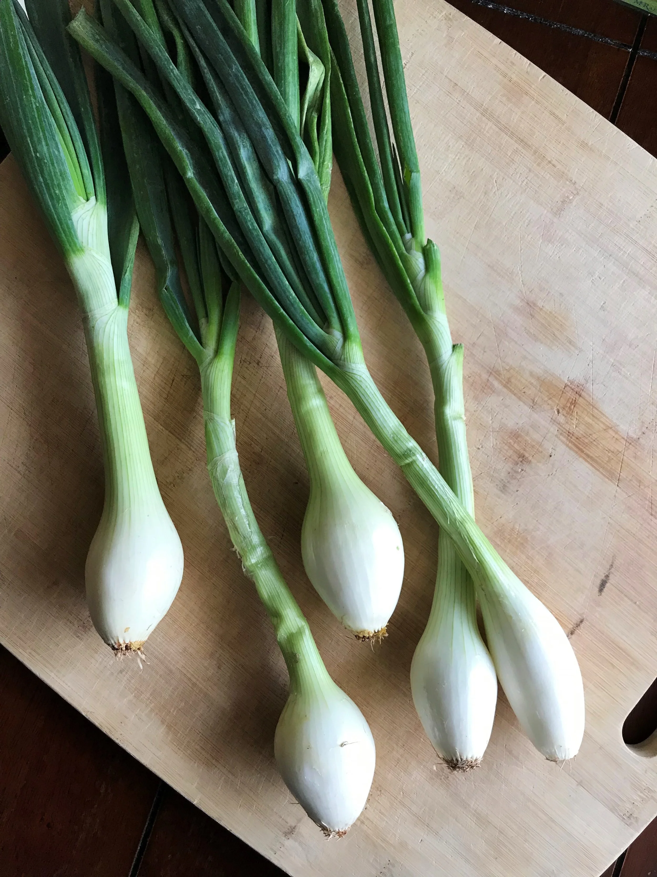 Spring onions are like a cross between yellow onions and scallions. The white bulbs have a milder flavor than a full-grown onions, and the green tops are a bit more substantial and strongly flavored than scallions. In this dish, I lightly sauteed the whites and pale green parts, then scattered the sliced greens over the finished dish.