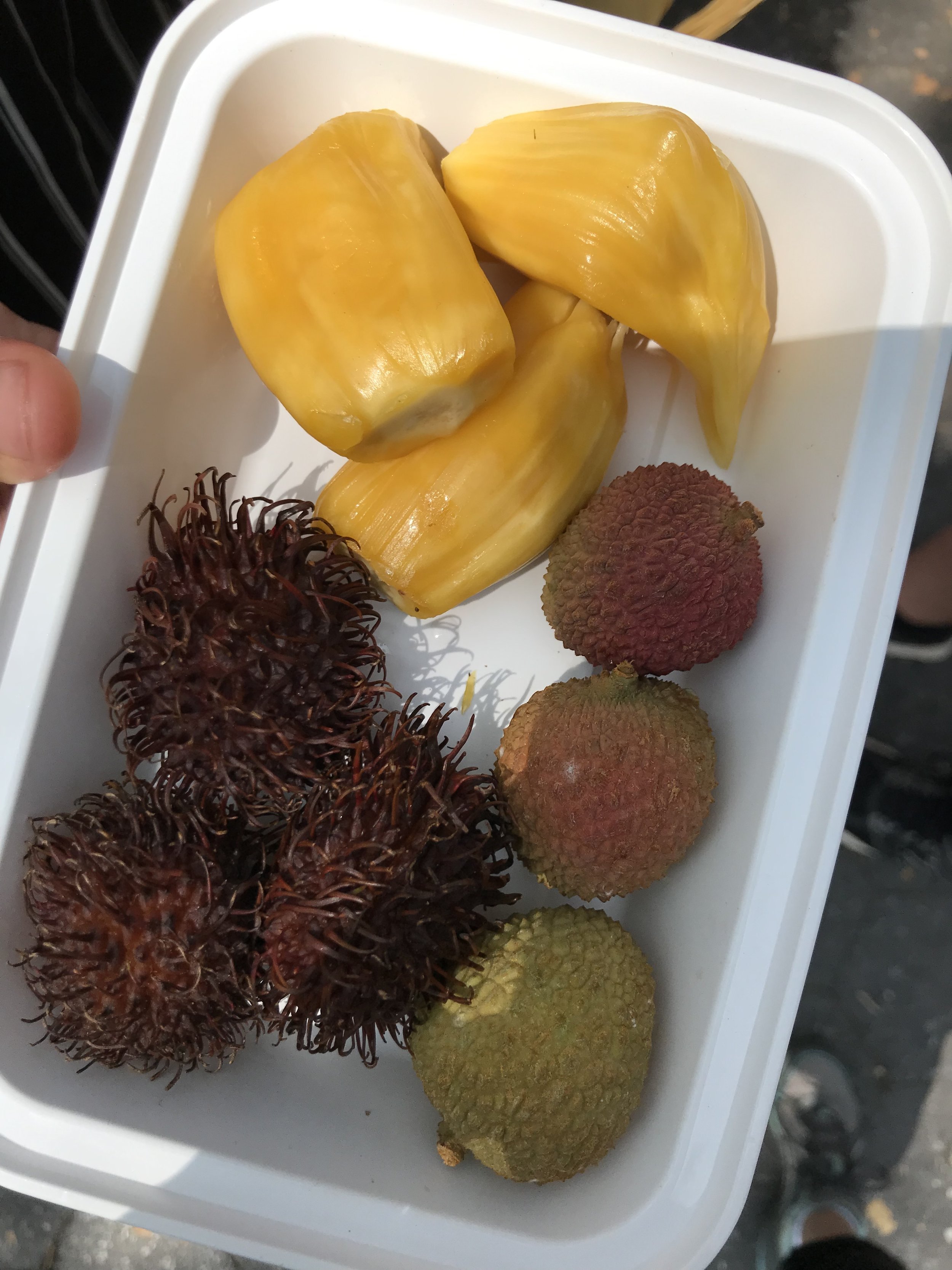 Jackfruit, Lychee and Rambutan