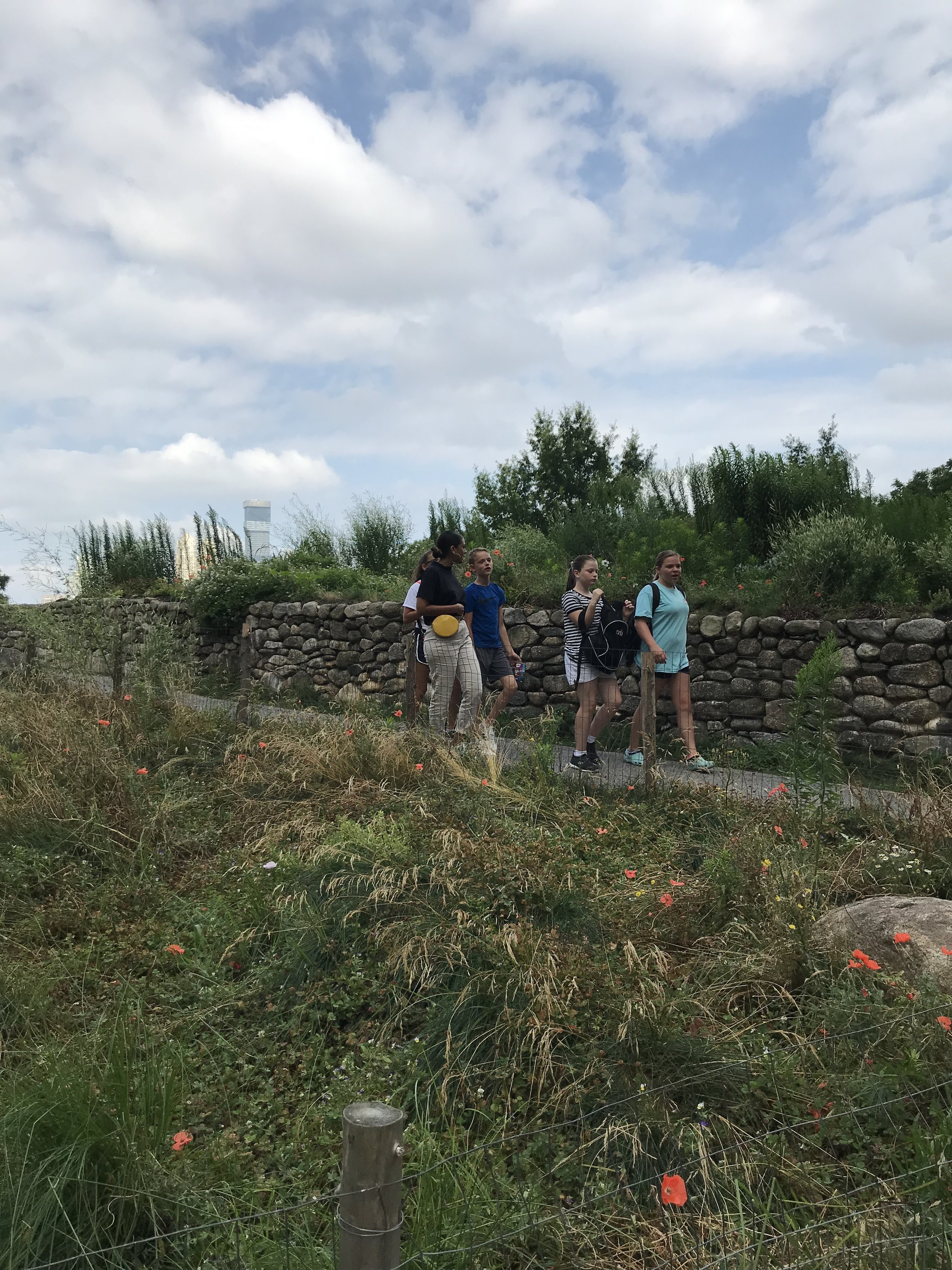 Walking the Memorial