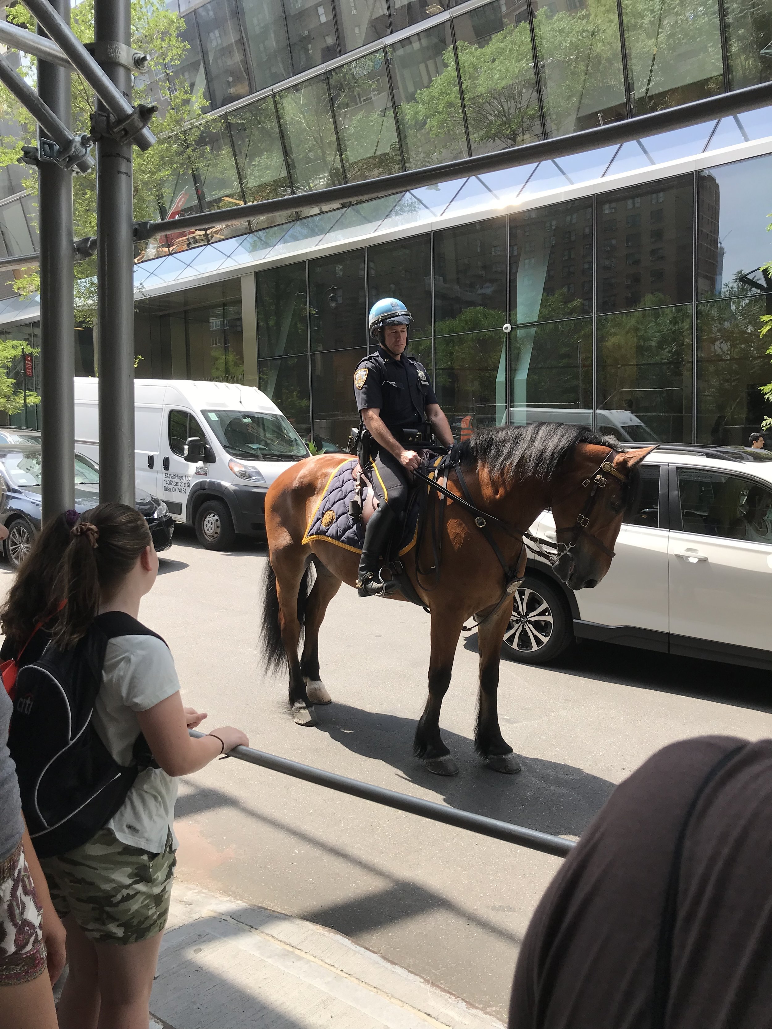 A Friendly Policeman on Horseback