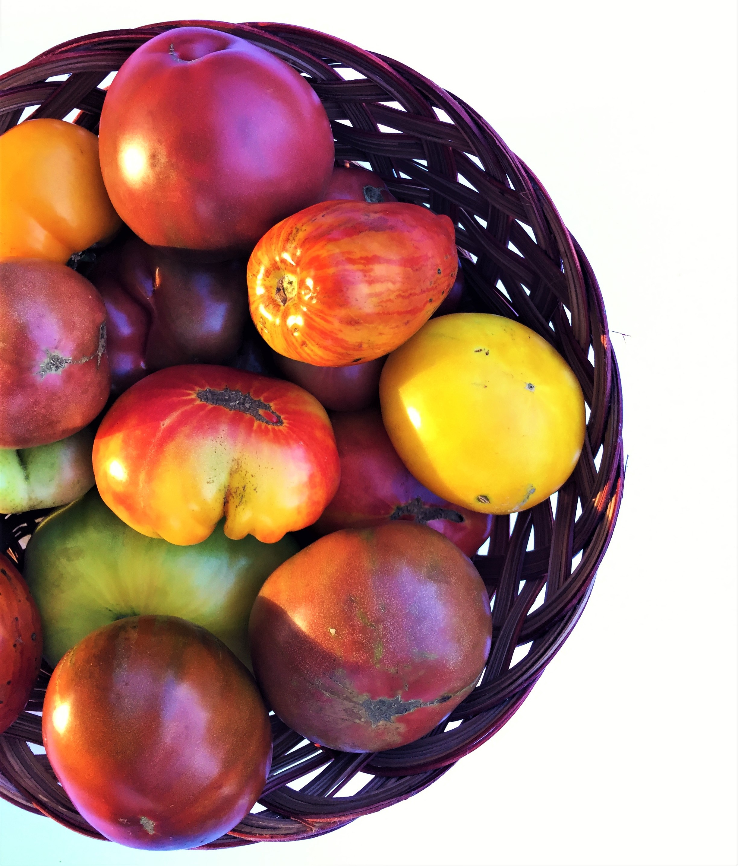 Tomatoes from my CSA
