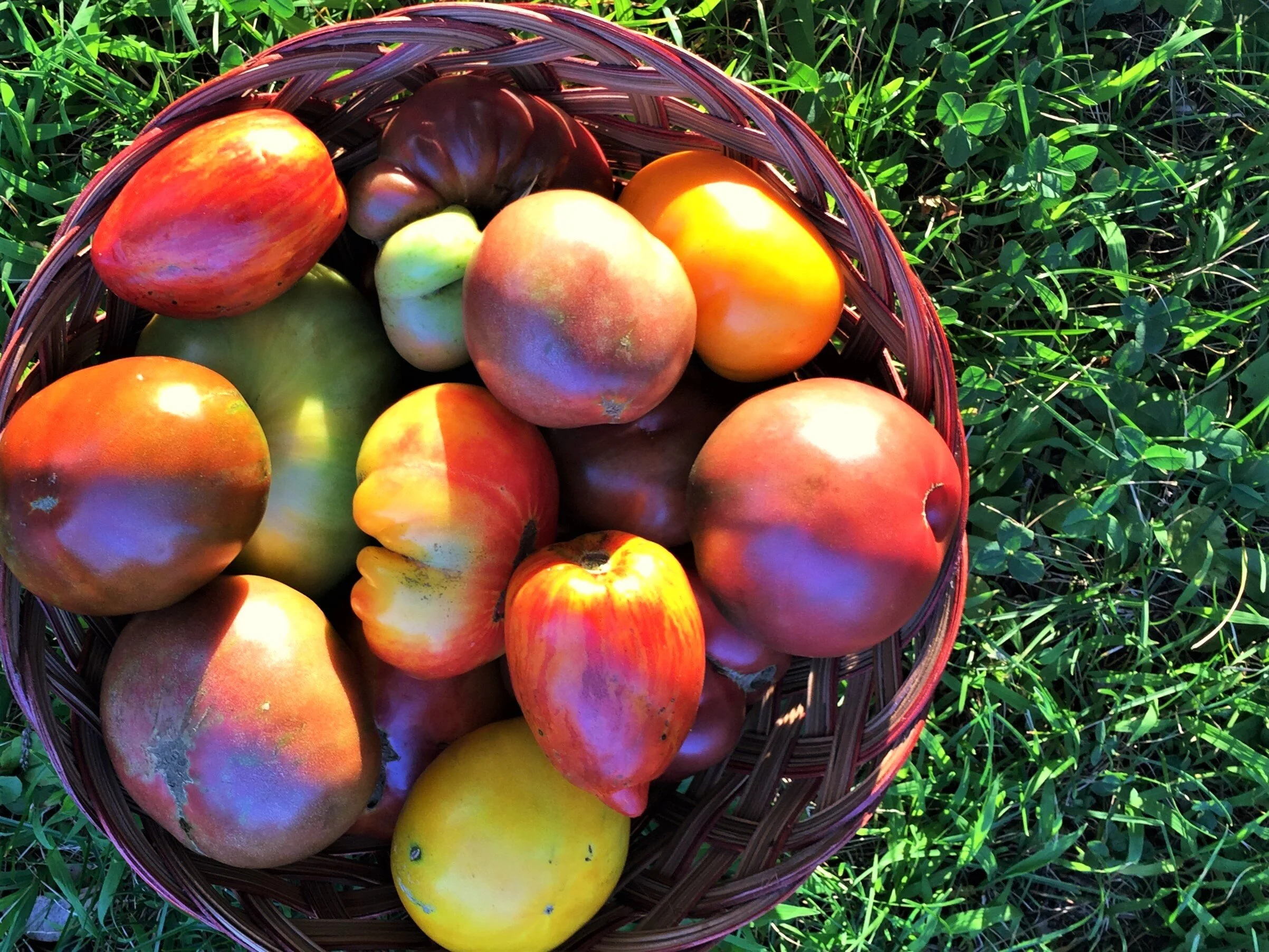 Favorite Recipes and Spices for August