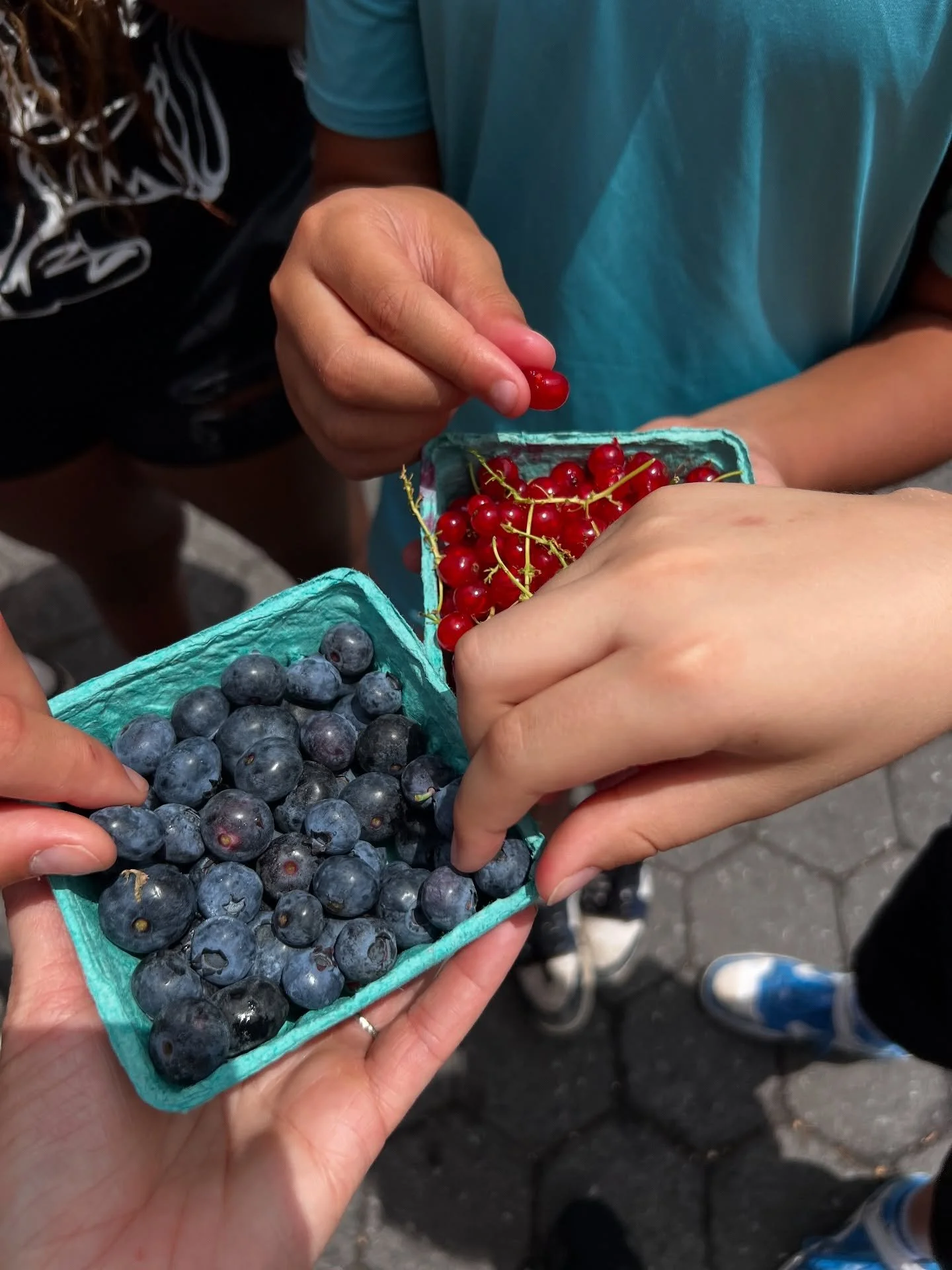 We ate, we walked, we sweated, we laughed, we cried (no one actually cried!).

Earlier this month was the final week of the *final* year of my Culinary Adventure Camp! A NOT-normal camp for curious kids who spend the week exploring NYC with me 😋

An
