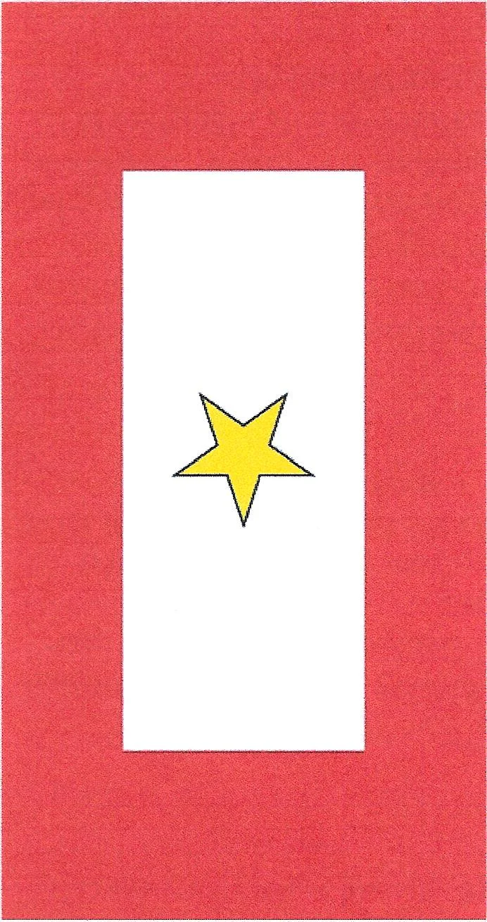 Gold Star flag1.jpg