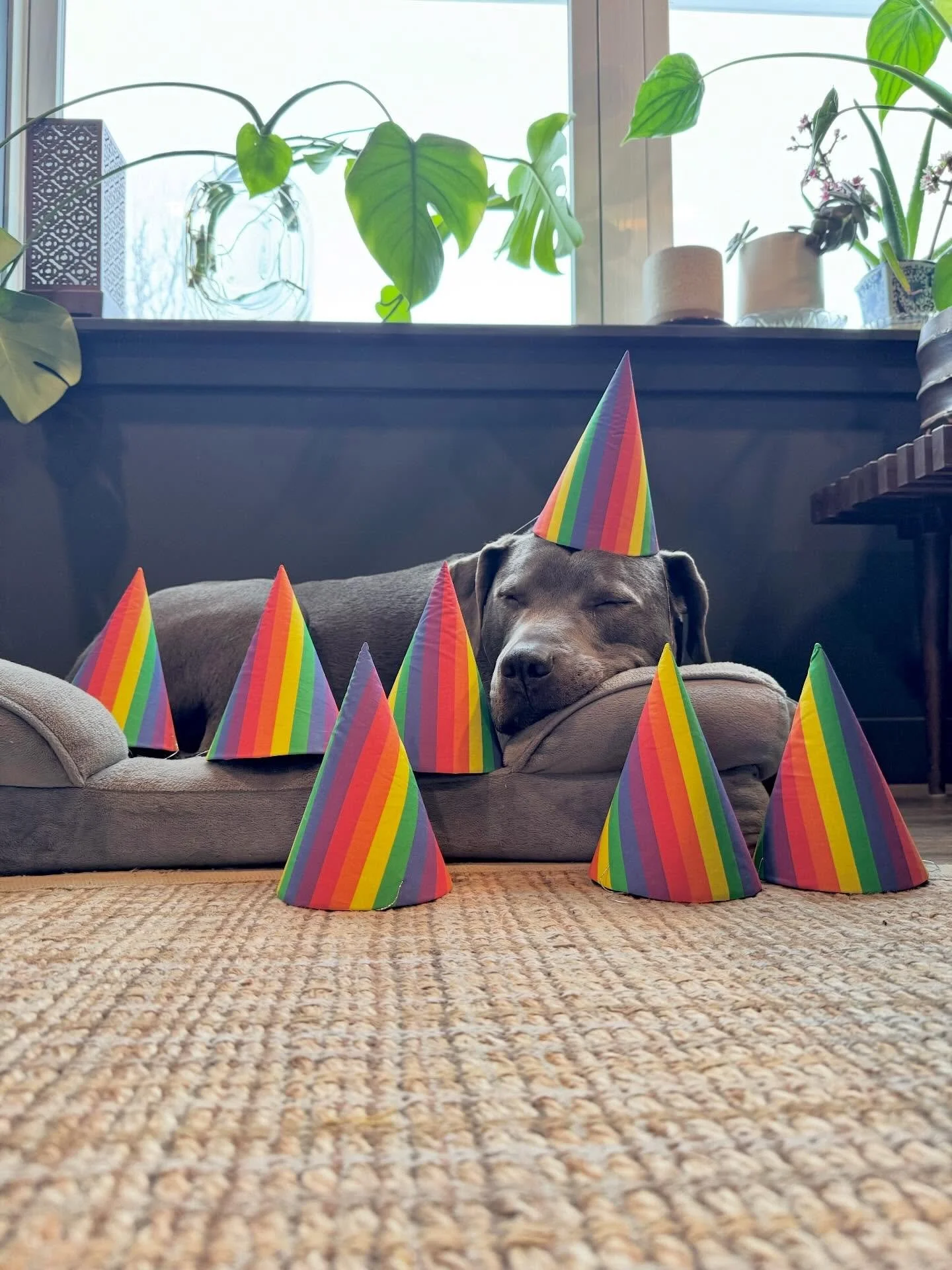 Our son is 🎉7️⃣🎉