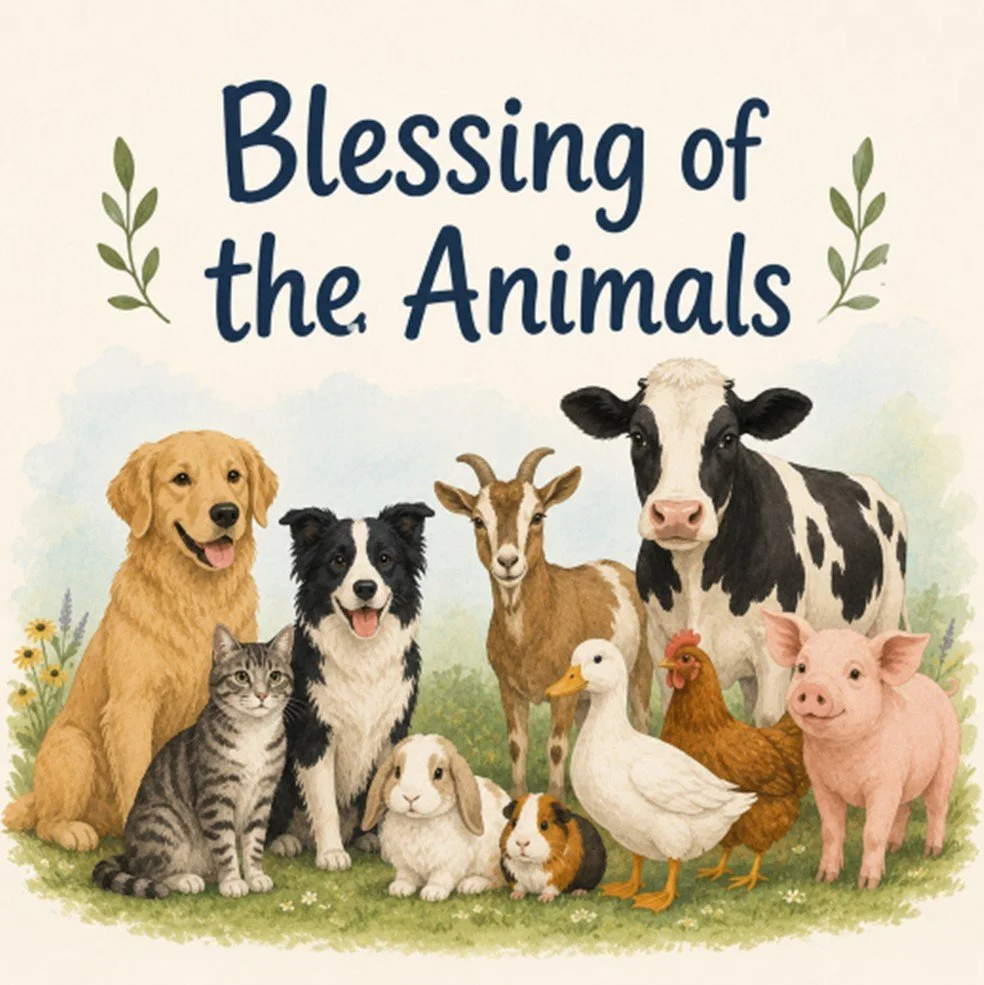 blessing of animals.jpg